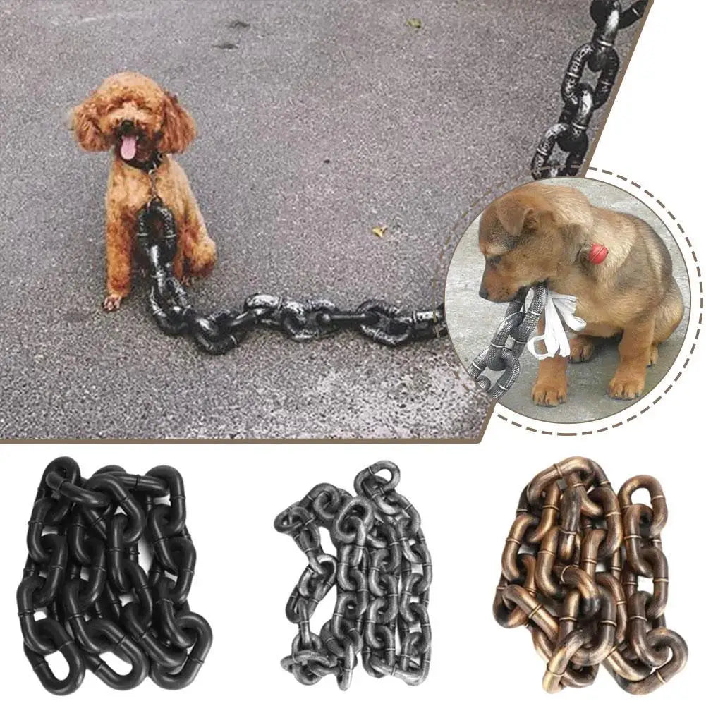 RockDog - Le Collier Ultime pour Chiens"